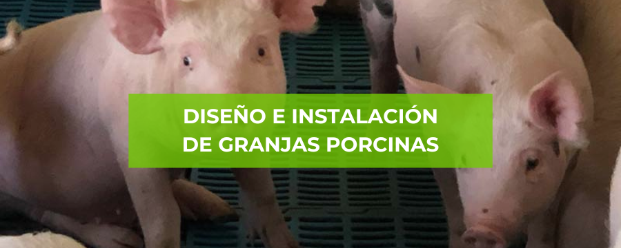 Diseño e instalación de granjas porcinas 